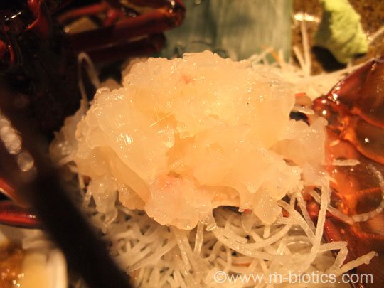 伊勢 鈴木水産 外宮 参道 伊勢海老 刺身