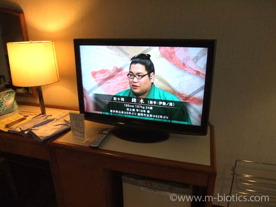 神宮会館 洋室 テレビ