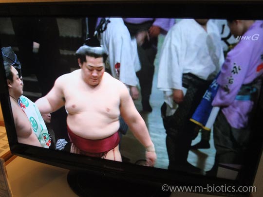 神宮会館 洋室 ツイン