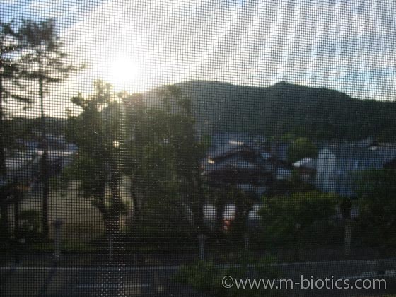 伊勢神宮 御垣内特別参拝 御垣内参拝 内宮