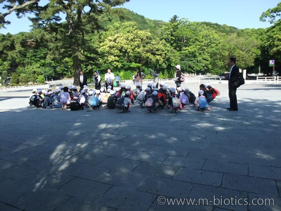 伊勢神宮 御垣内特別参拝 御垣内参拝 内宮