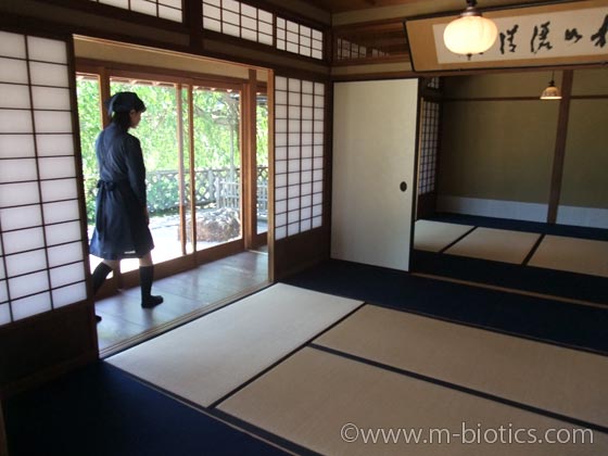 おかげ横丁 五十鈴茶屋