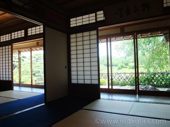 おかげ横丁 五十鈴茶屋