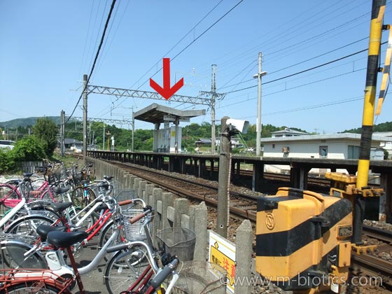 上之郷 伊雑宮