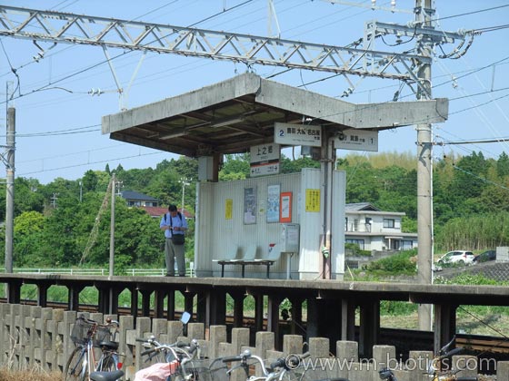 上之郷 伊雑宮