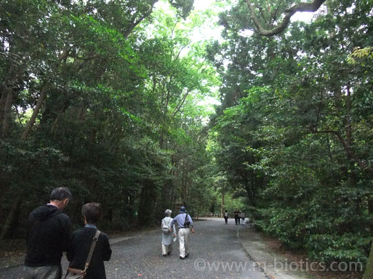 外宮 御垣内特別参拝