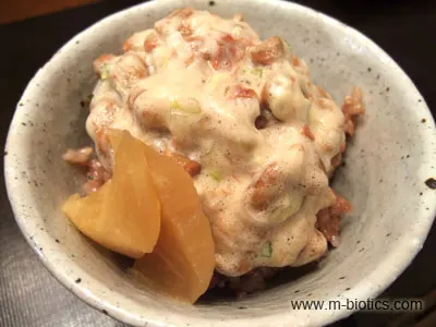 梅ねぎ納豆ご飯　マクロビオティック料理