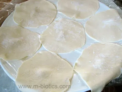 餃子の皮～小麦粉で手作り～　マクロビオティック料理