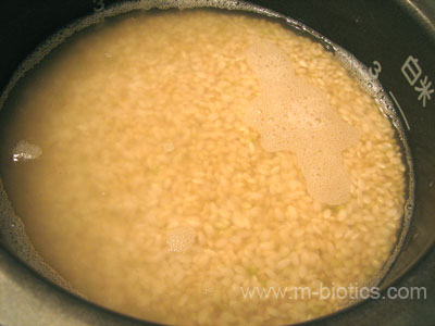 玄米浸水中　マクロビオティック