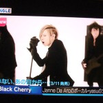 acid black cherry