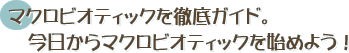 マクロビオティックを徹底ガイド。今日からマクロビオティックを始めよう！