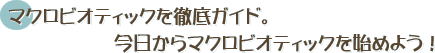 マクロビオティックを徹底ガイド。今日からマクロビオティックを始めよう！