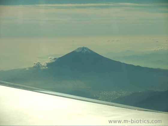 飛行機から富士山