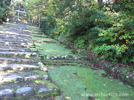 平泉寺白山神社