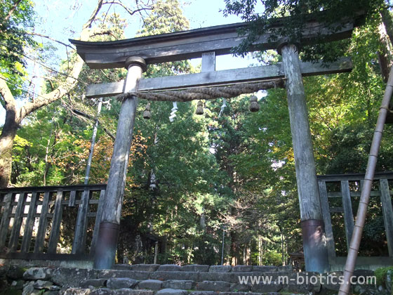 平泉寺白山神社