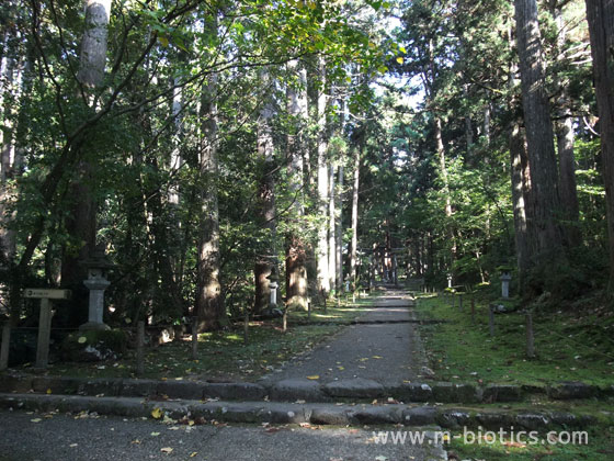 平泉寺白山神社