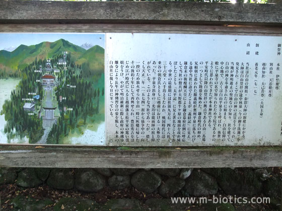 平泉寺白山神社　案内図