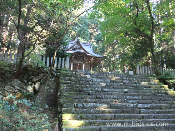 平泉寺白山神社