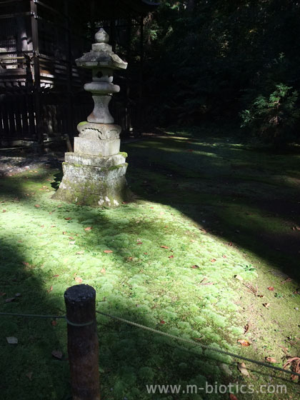 平泉寺白山神社