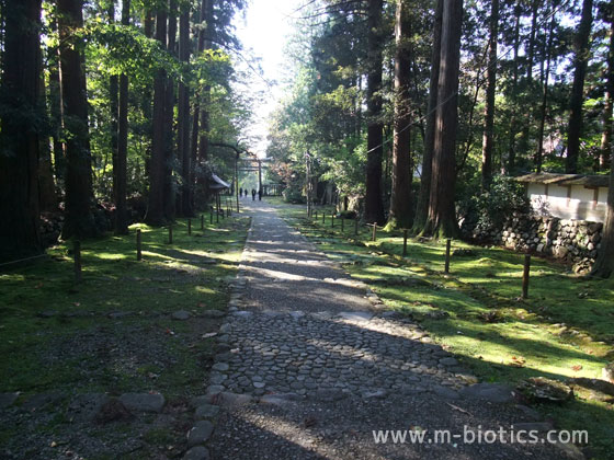 平泉寺白山神社