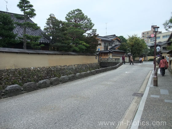 武家屋敷跡　野村家