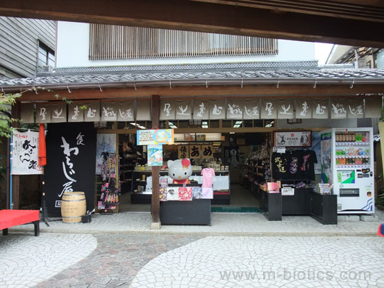 武家屋敷跡　野村家