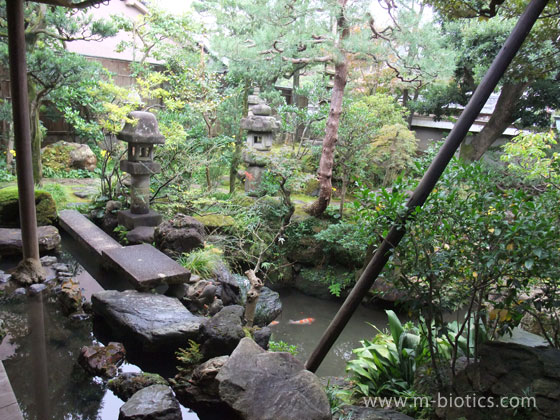 武家屋敷跡　野村家　庭園