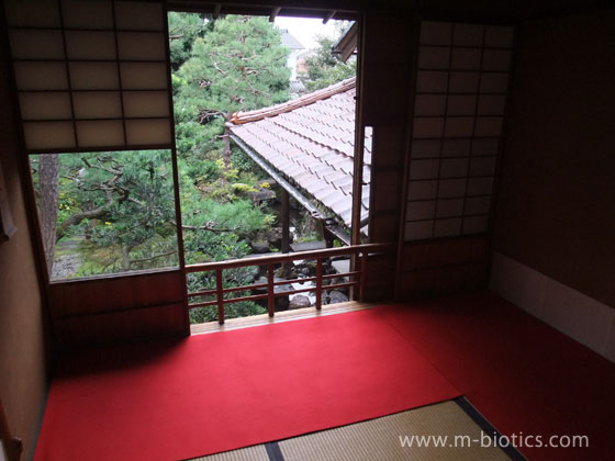 武家屋敷跡　野村家　茶室