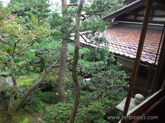 武家屋敷跡　野村家　茶室