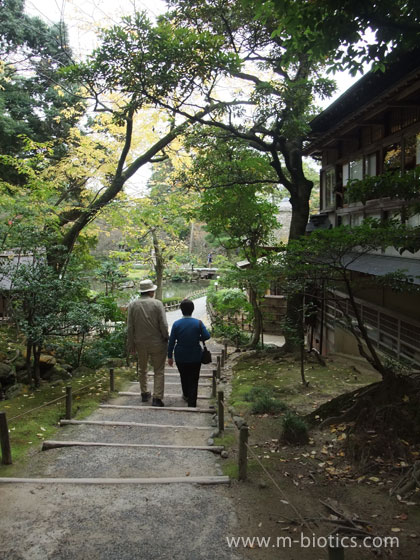 兼六園　海石塔