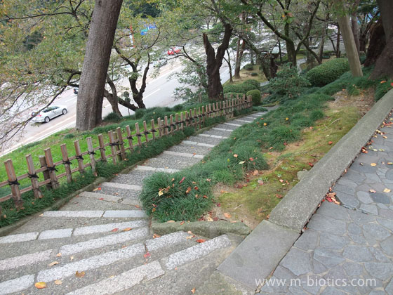 兼六園　石の階段