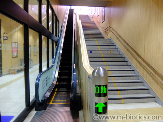 えちぜん鉄道 改札内 エスカレーター 福井駅 新駅舎 高架化