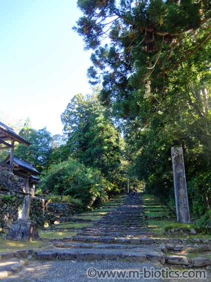 平泉寺白山神社