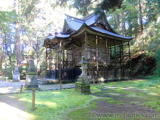 平泉寺白山神社 本社 本殿