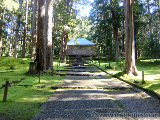 平泉寺白山神社　拝殿