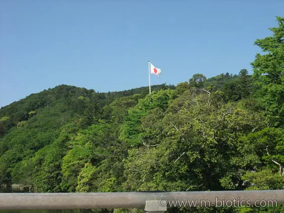 伊勢神宮　御垣内特別参拝　御垣内参拝　内宮