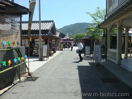 おかげ横丁　若松屋