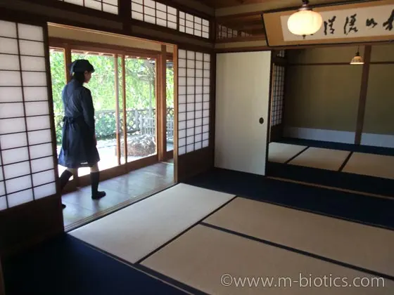 おかげ横丁　五十鈴茶屋