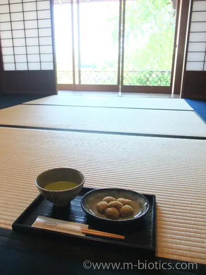 おかげ横丁　五十鈴茶屋　抹茶セット　わらび餅