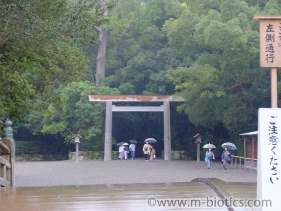 伊勢神宮　外宮　特別参拝　御垣内参拝　正式参拝