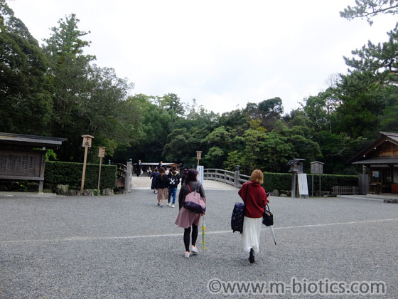 伊勢神宮 外宮 特別参拝 御垣内参拝 正式参拝