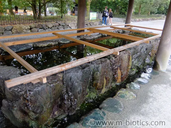 伊勢神宮　外宮　手水　コロナ対策