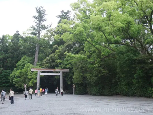 外宮 鳥居