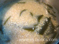 スーパー活力鍋で玄米粥-マクロビオティック料理