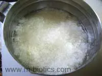 大根おろしと梅干しの玄米粥-マクロビオティック料理