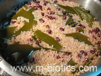 もち玄米の赤飯-マクロビオティック料理