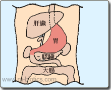胃　マクロビオティック羅針盤