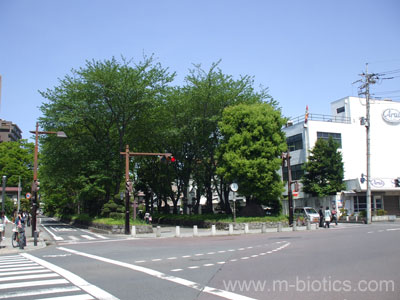 大宮氷川神社