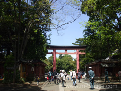 大宮氷川神社