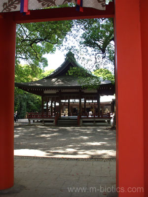 大宮氷川神社